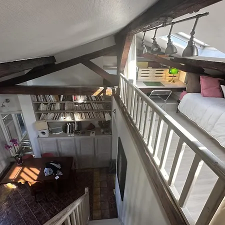 Atypical Nest Near Latin Quarter Paris